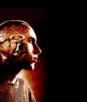 Brain side body Brain side body