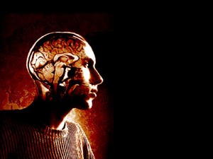 Brain side body Brain side body