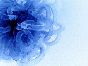 Viral structure
