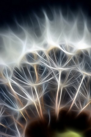 White neural connections White neural connections